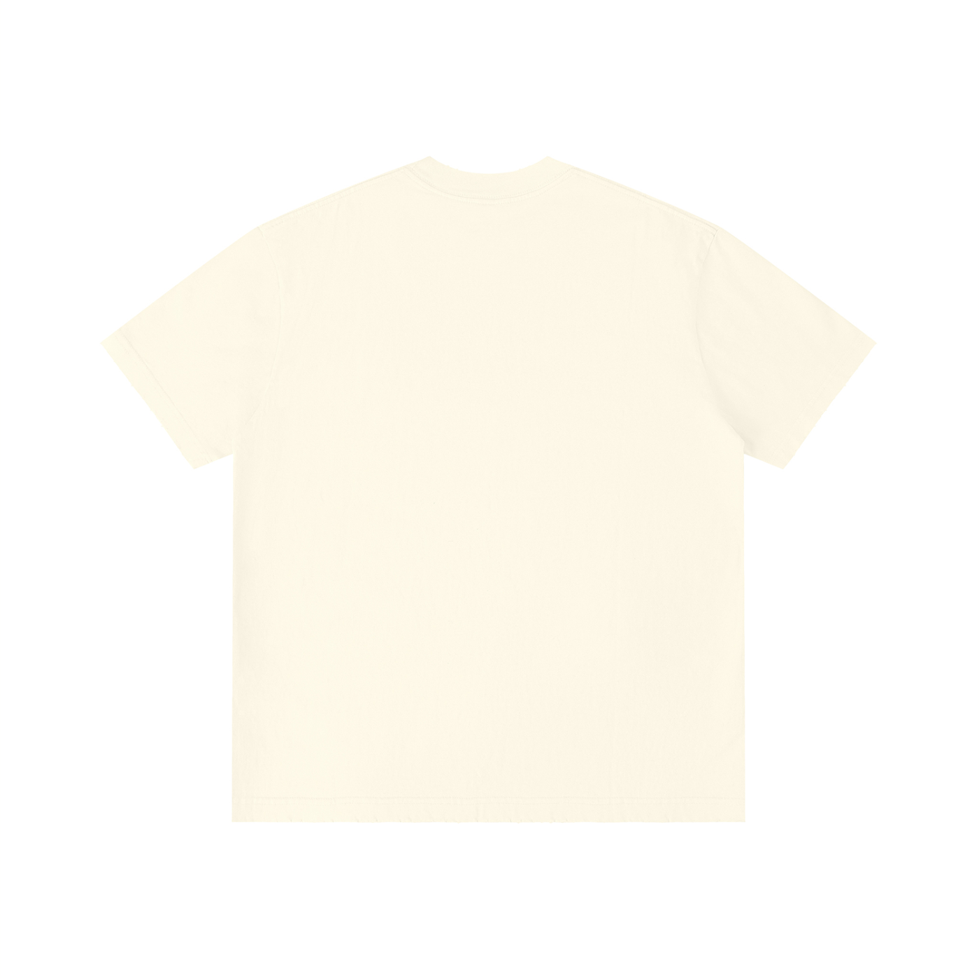 Bird on the Branch +970 Unisex Vintage Wash Distressed T-Shirt
