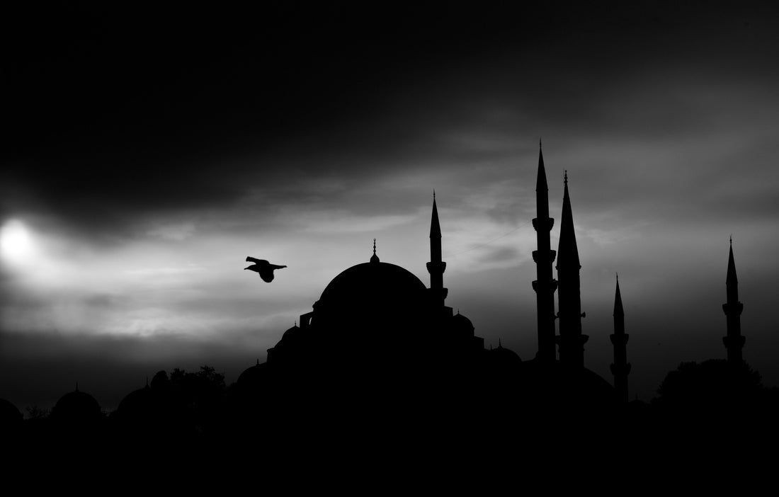 Why Did Allah Create Us?