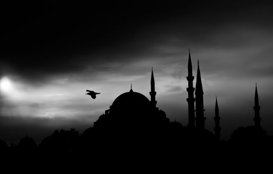 Why Did Allah Create Us?
