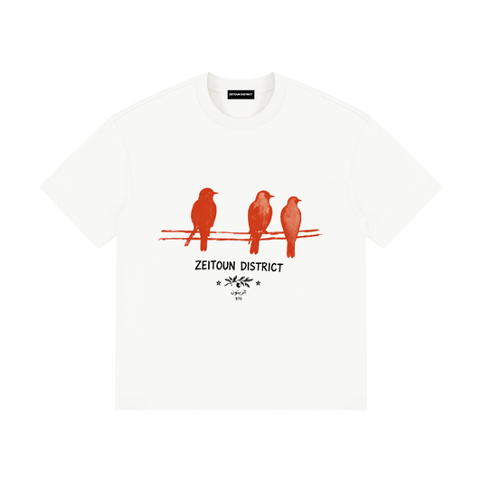 Birds on Wire – Zeitoun District Unisex Drop Shoulder Cotton T-Shirt