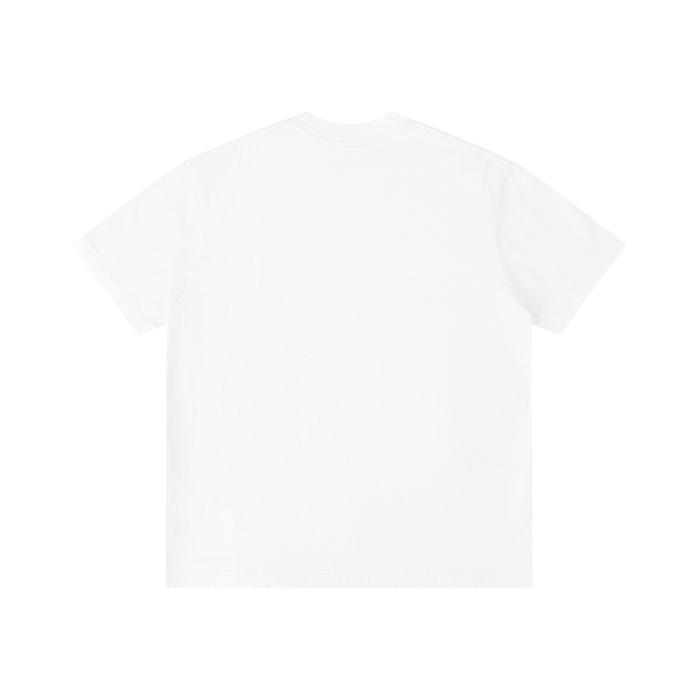 Bird on the Branch +970 Unisex Vintage Wash Distressed T-Shirt