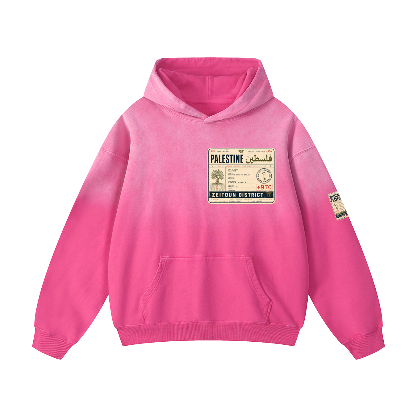 '+970 Palestine Passport Card Graphic Heavyweight Sunfade Oversized Hoodie