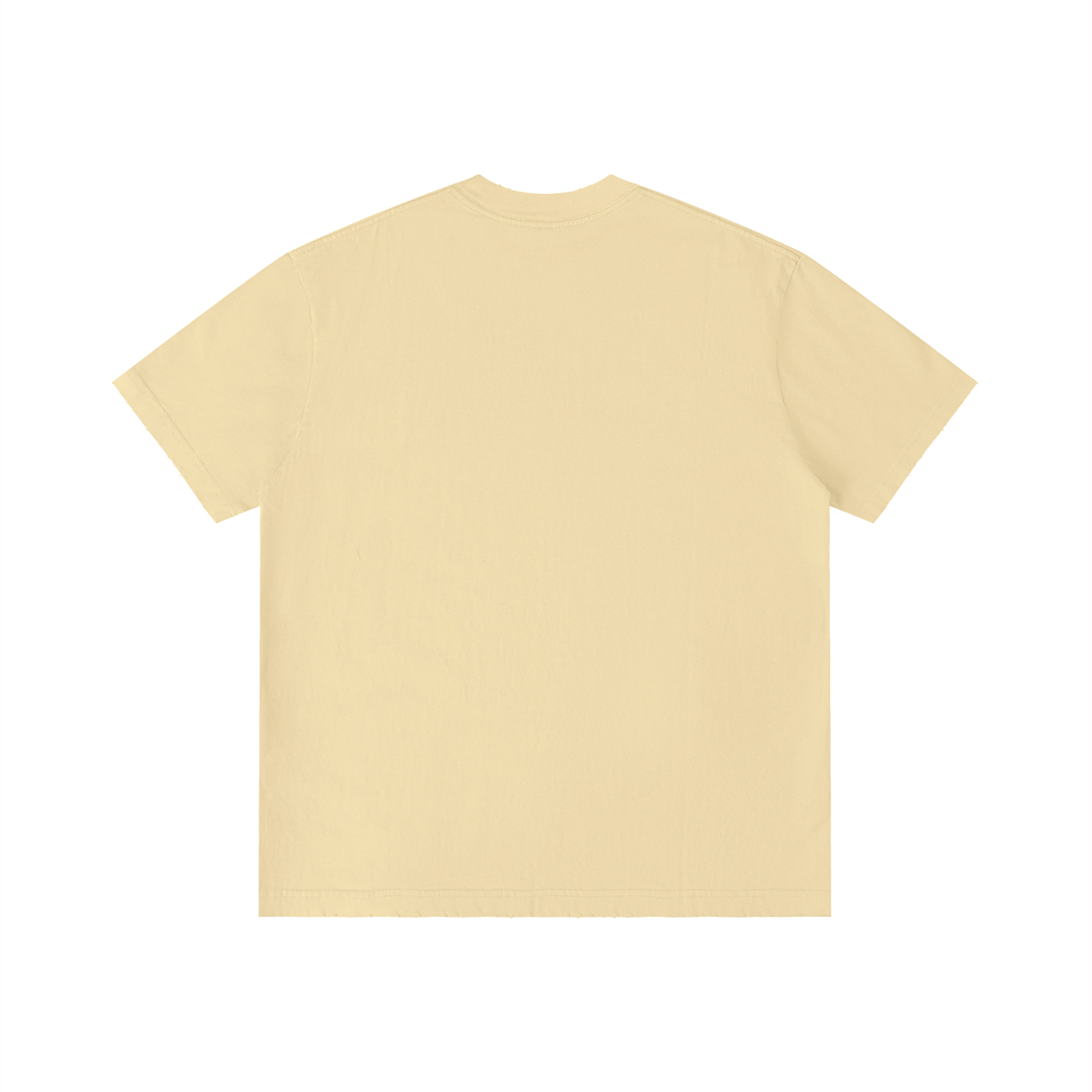 Bird on the Branch +970 Unisex Vintage Wash Distressed T-Shirt
